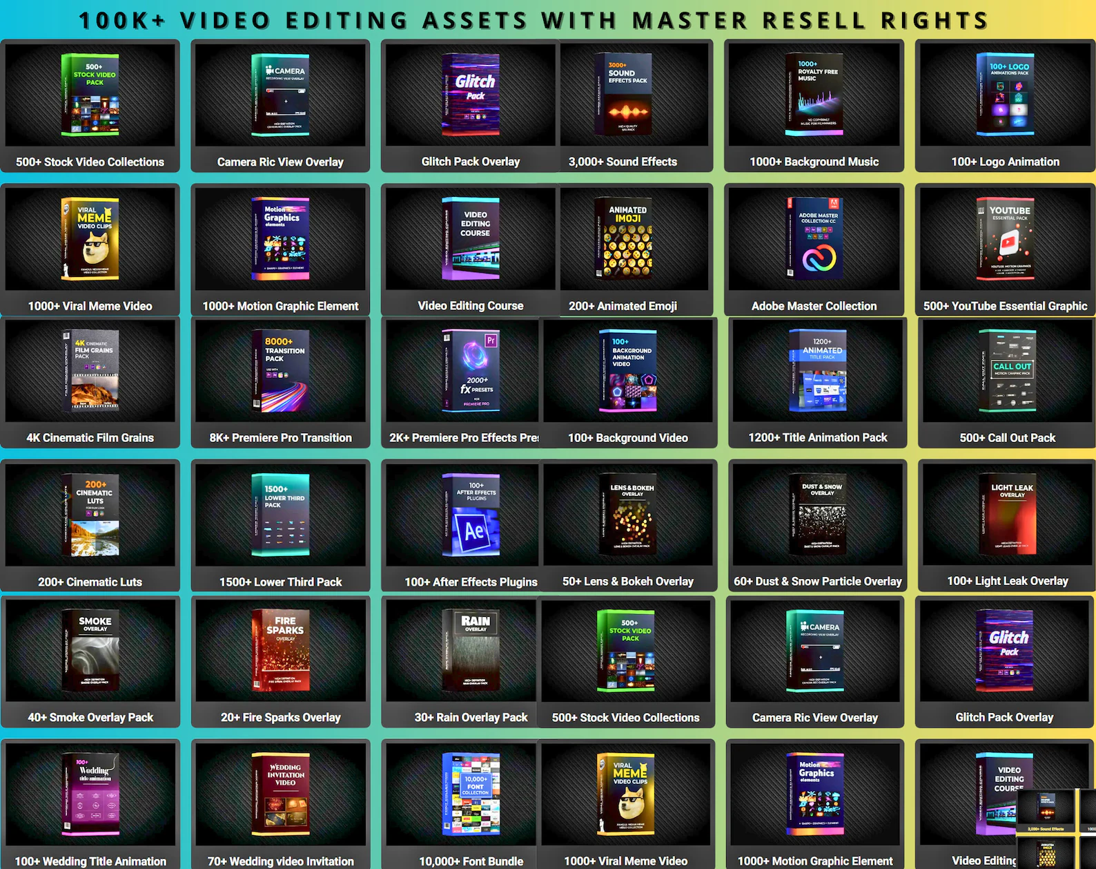 mon-aug-19-2024-122-pm50403